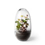 Design House Stockholm - Grow drivhus, medium