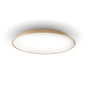 Artemide - Febe LED væg- og loftslampe, Ø 61 cm, due grå