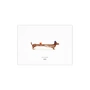 Paper Collective - Doug Dachshund, 40 x 30 cm