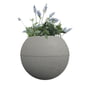 rephorm - ball balkon blomkålsplante, betongrå