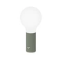 Fermob - Aplô udendørslampe H 24 cm, kaktus