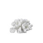 Mette Ditmer - Coral dekorationsobjekt Små grene, hvide