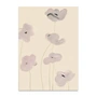 Paper Collective - White Vallmo Plakat, 50 x 70 cm