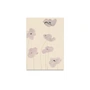 Paper Collective - White Vallmo Plakat 30x40cm