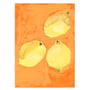 Paper Collective - Lemons Plakat, 70 x 100 cm
