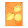Paper Collective - Lemons Plakat, 50 x 70 cm