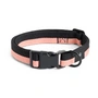 HAY - Dogs, M/L, pink / sort