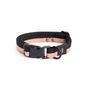 HAY - Dogs, S/M, pink / sort