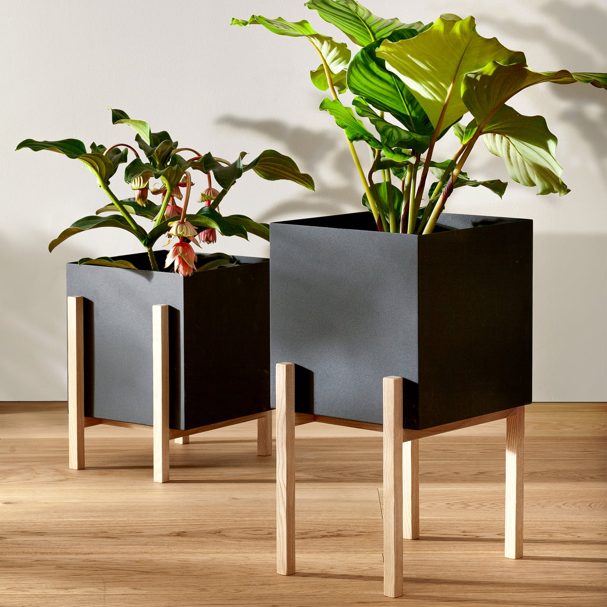 Design House Stockholm Botanic Pedestal | Connox
