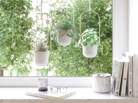 Triflora hængende kurv fra Umbra er en dejlig måde at hænge blomster og planter indendørs på. Beslaget kombinerer konstruktionen af en gardinstang med plantepotter og kan vidunderligt hænges over vinduet eller på væggen i køkkenet eller stuen.