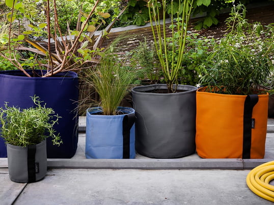 Pot Plantning af Bacsac i atmosfæren visningen. Med Pot plante poser af Bacsac kan gøre det urbane balkon stilfulde og naturlig.