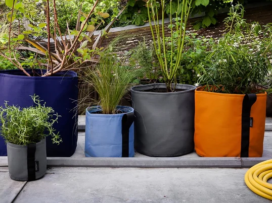 Pot Plantning af Bacsac i atmosfæren visningen. Med Pot plante poser af Bacsac kan gøre det urbane balkon stilfulde og naturlig.
