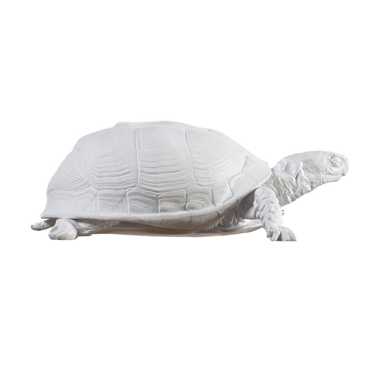Turtle Box fra Areaware, hvid