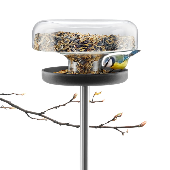 Eva Solo - Bird Table med fuglefrø og gren