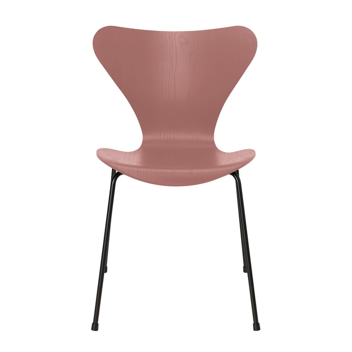 Serie 7 stol fra Fritz Hansen i ask wild rose farvet / stel sort