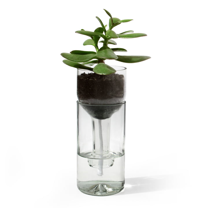 Self Watering Bottle blomsterpotte fra side by side i klart glas