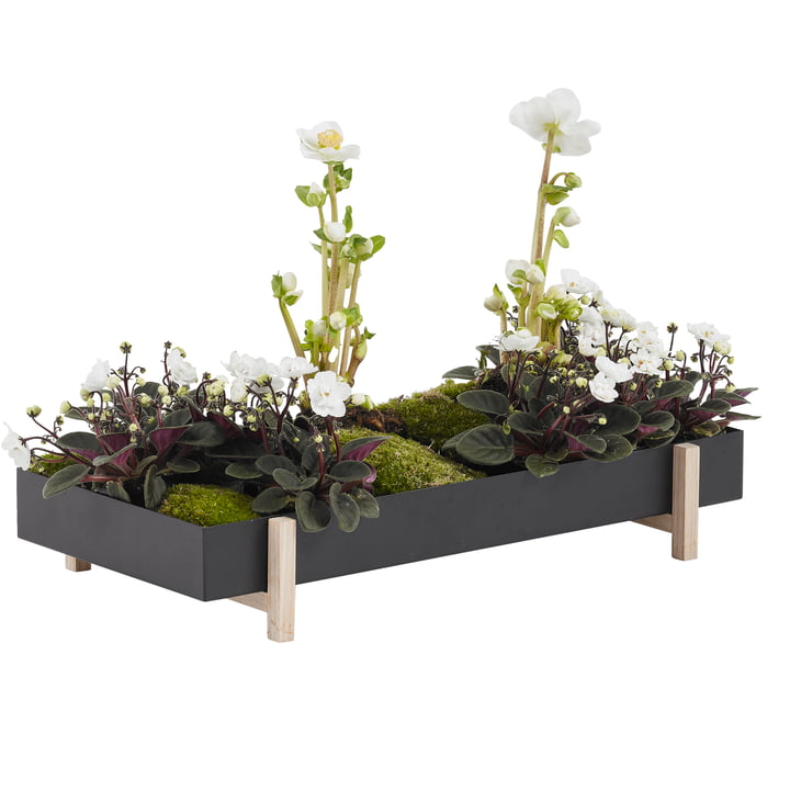 Botanic Tray fra Design House Stockholm med blomster