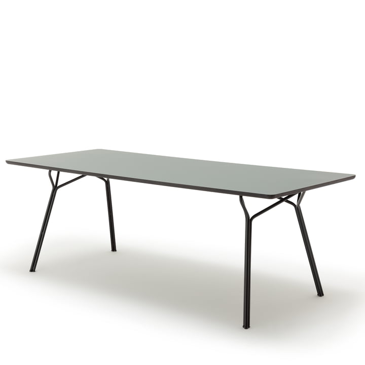 120 -211 spisebord, 220 x 90 cm freestyle i gråoliven