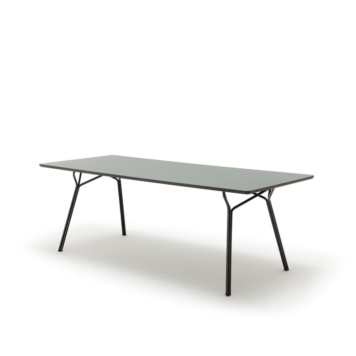 120 -201 spisebord, 160 x 90 cm fra freistil i grå oliven