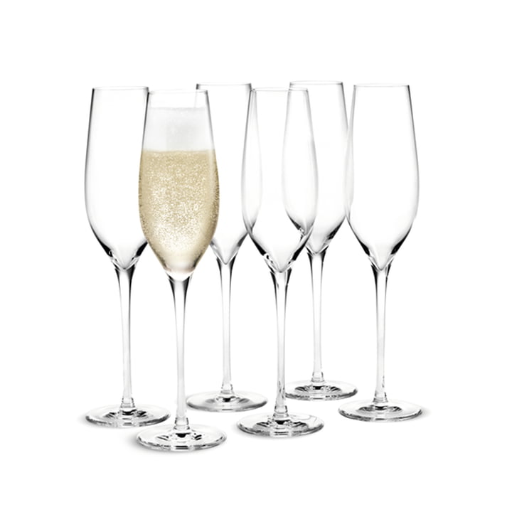 Cabernet champagneglas i et sæt af 6 fra Holmegaard