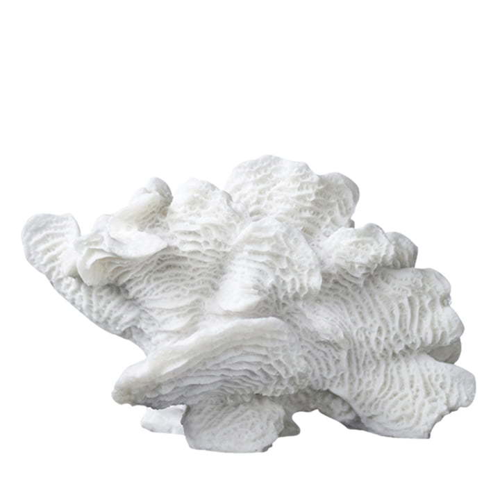 Coral dekorativ Mette Ditmer i hvid