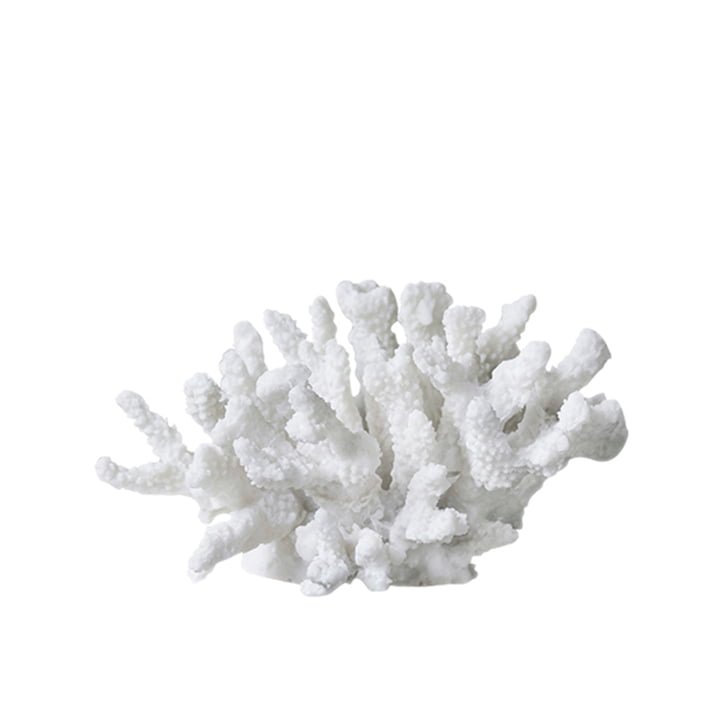 Coral deco objektgrene store af Mette Ditmer i hvid