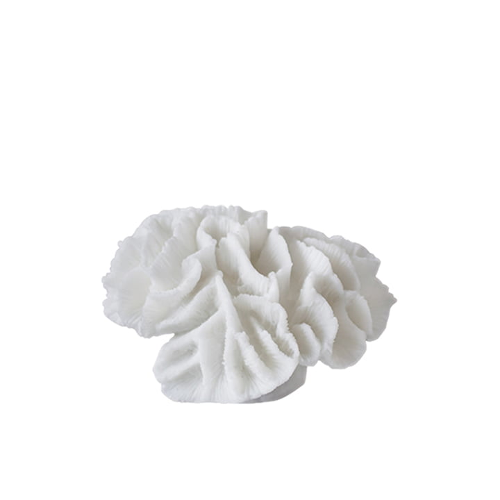 Coral dekorative objektgæller af Mette Ditmer i hvid