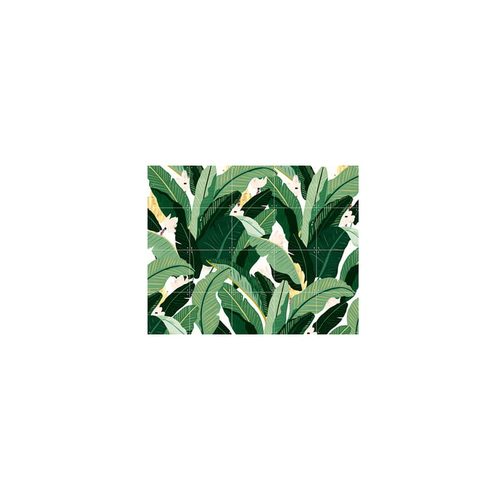 Banana Leaf neutrale hvide 100 x 80 cm fra IXXI