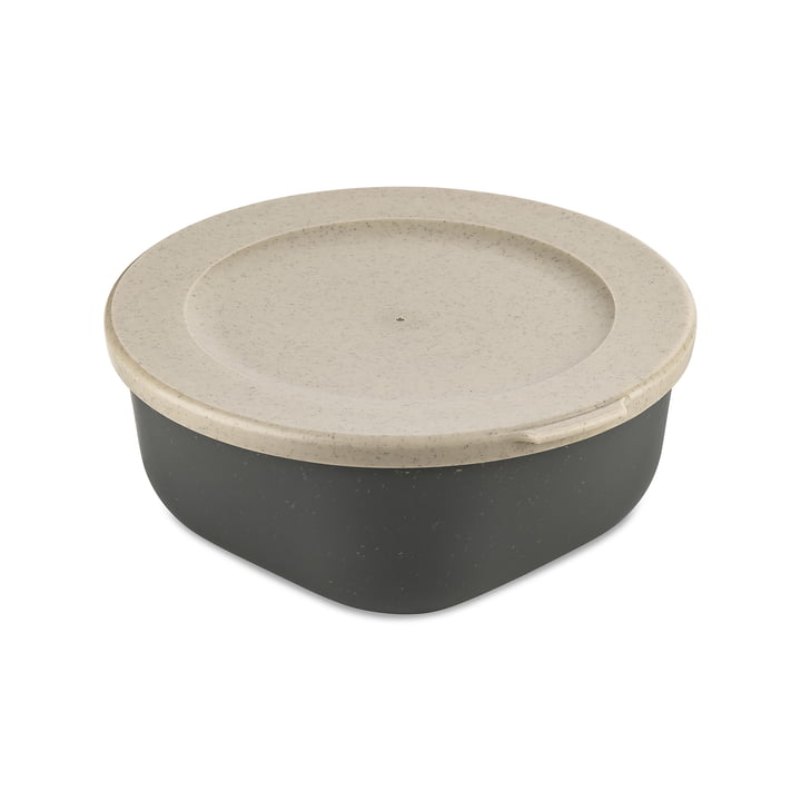 Koziol - CONNECT BOX, med låg, 700 ml, nature ash grey