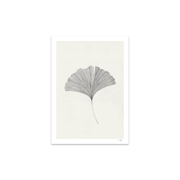 Ginkgo Leaf af Ana Frois 30 x 40 cm fra The Poster Club