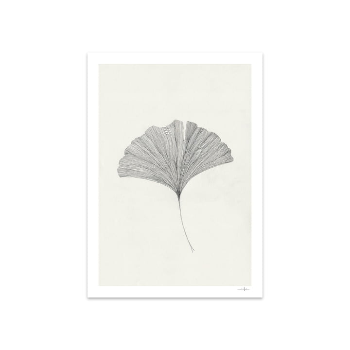 Ginkgo Leaf af Ana Frois 50 x 70 cm fra The Poster Club