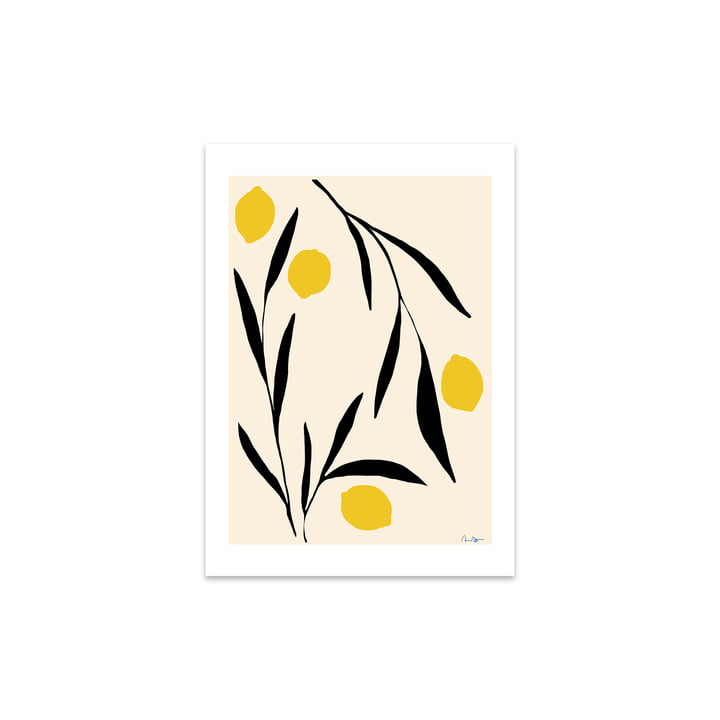 Lemon af Anna Mörner, 30 x 40 cm