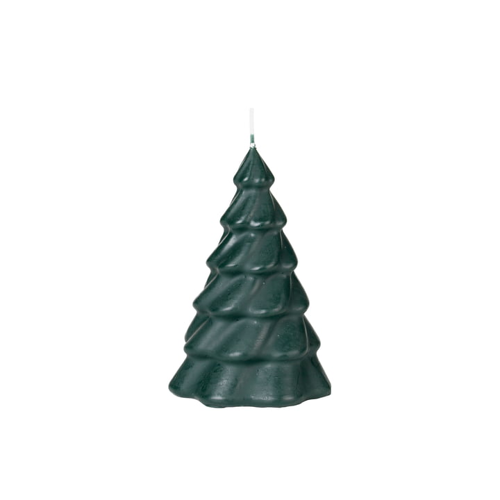 Pinus juletræslys fra Broste Copenhagen