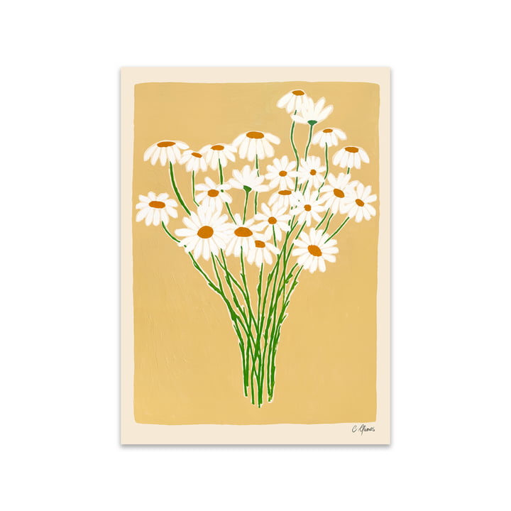 Daisies af Carla Llanos for The Poster Club