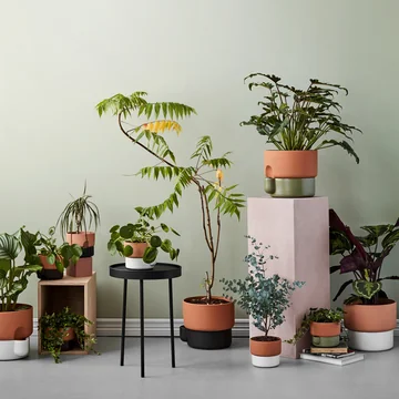 Æstetiske plantekasser