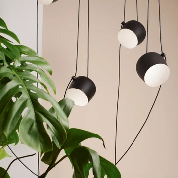 AIM LED pendelarmatur fra Flos ved siden af et stueplante
