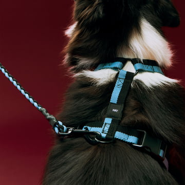 HAY - Hundesele til Dogs, M, blå/sort