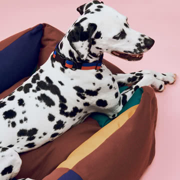 HAY - Hunde - Seng - M - Situation