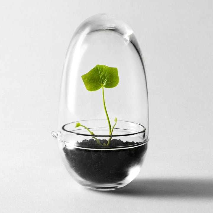 Grow drivhus ved Design House Stockholm