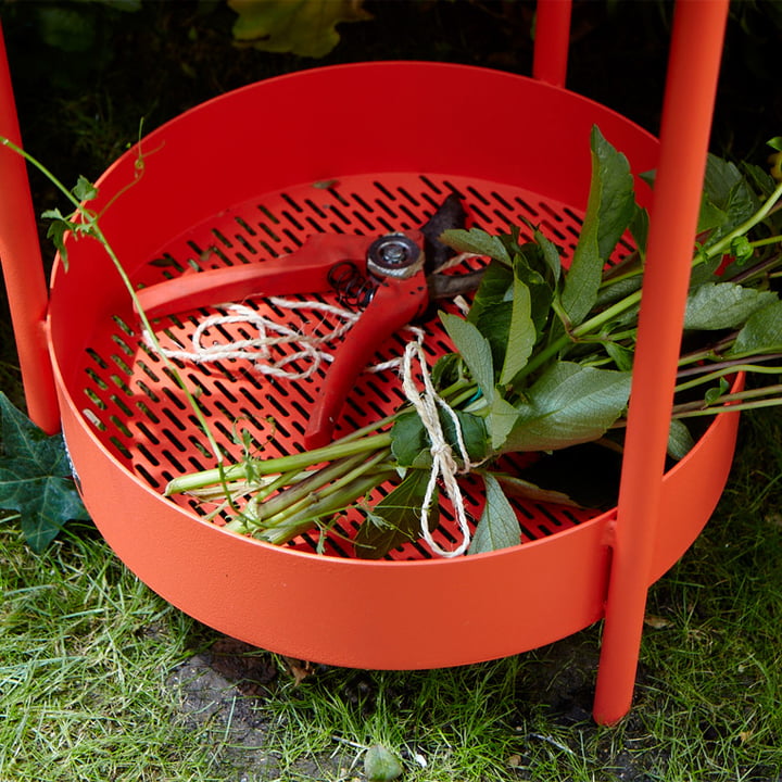 Gitteropbevaringsplads til planter og blomster