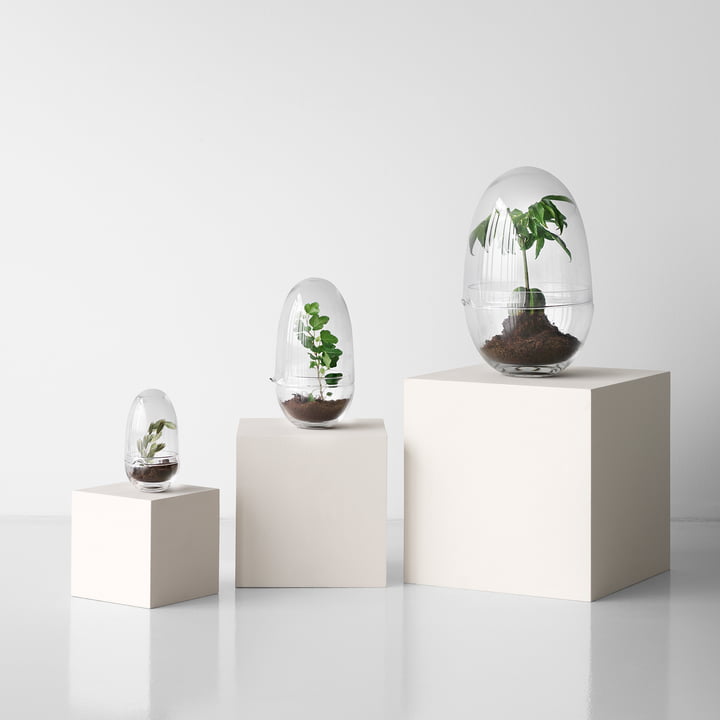 Grow drivhus ved Design House Stockholm