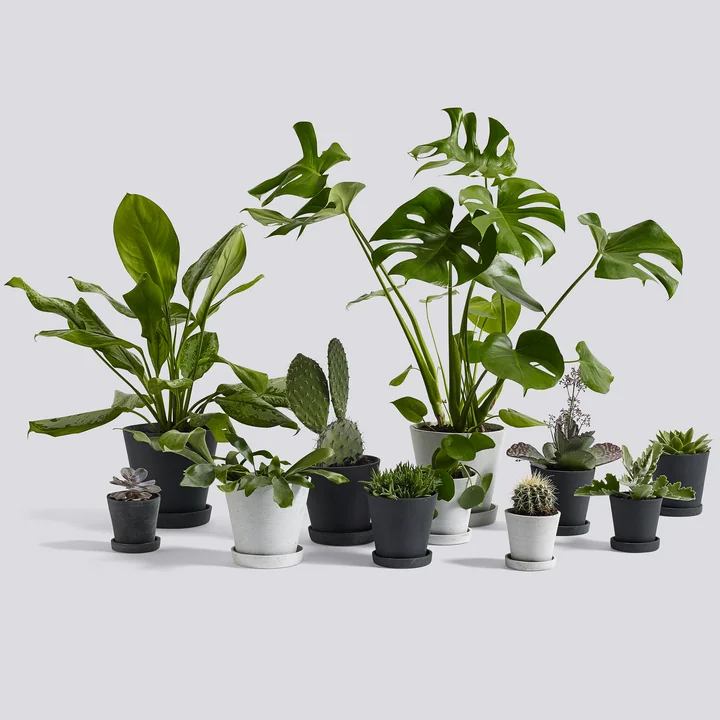 Blomsterpotter fra HAY med forskellige planter