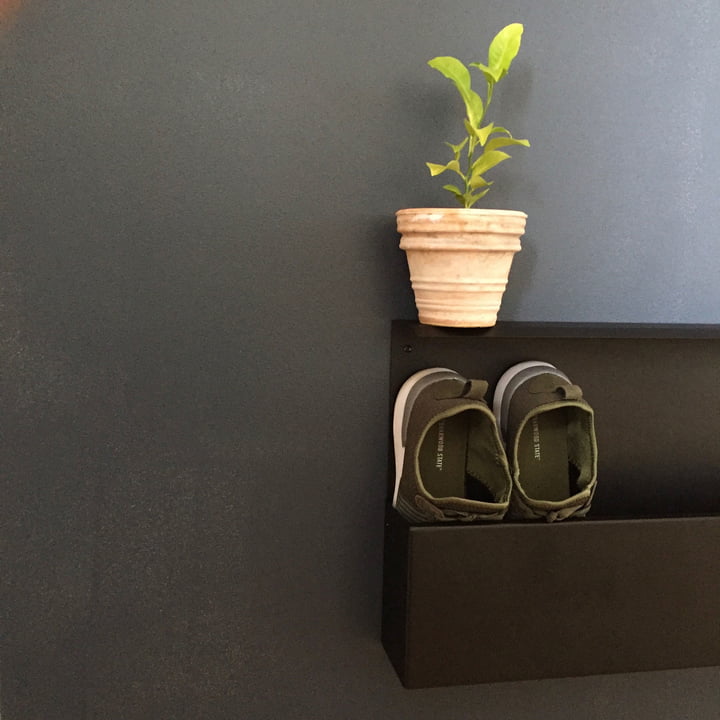 Nichba designs Shoe Box med en plante