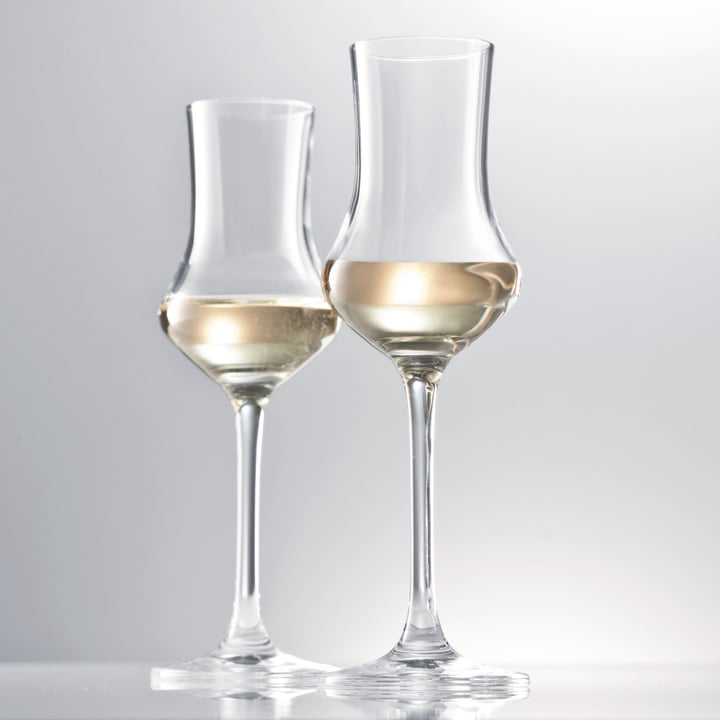 Digestif Grappa-glas fra Schott Zwiesel