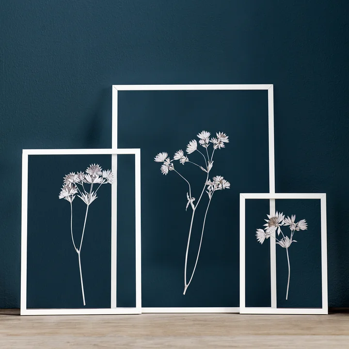Frame billedramme fra Moebe i hvid med tørrede blomster