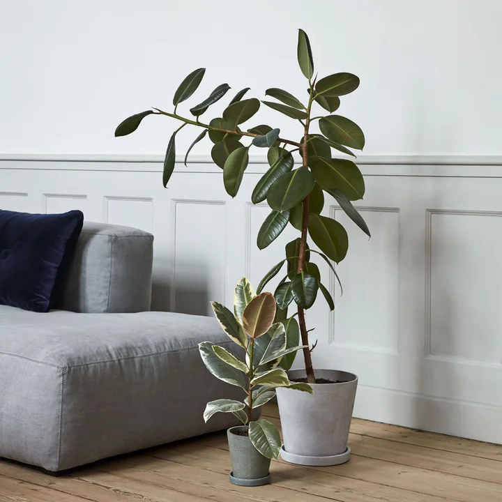 Mags Blød sofa og blomsterpotte med underkop fra HAY
