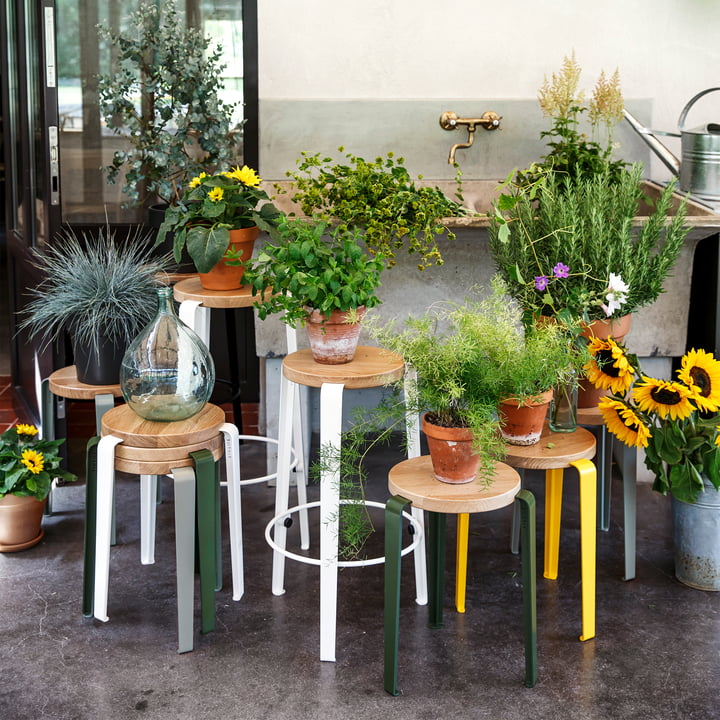 LOU stol og Lou barstol fra TipToe som hylde til præsentation af blomster og planter