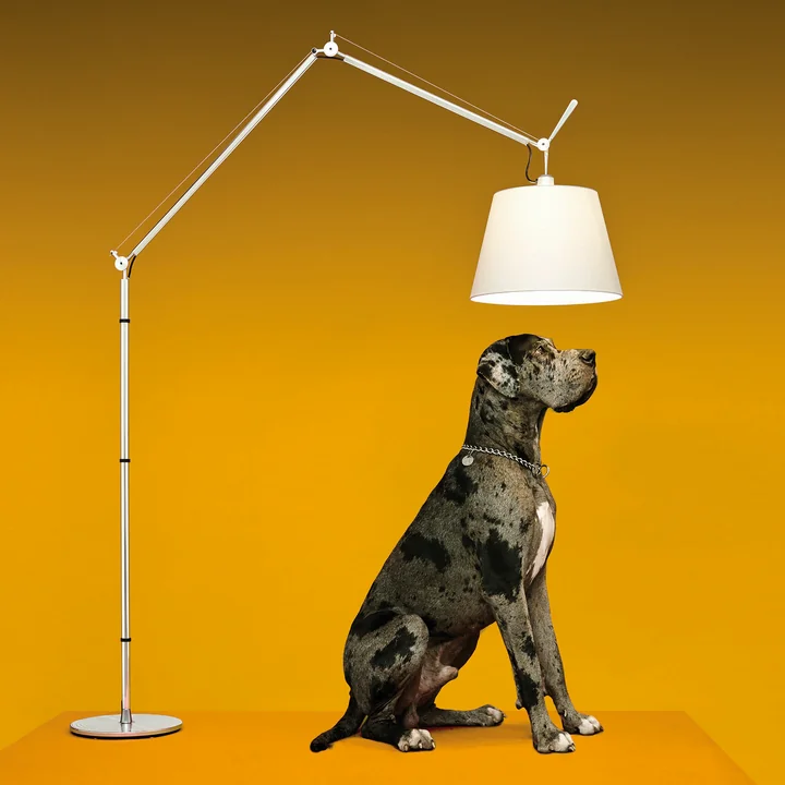 Tolomeo Mega LED gulvlampe fra Artemide