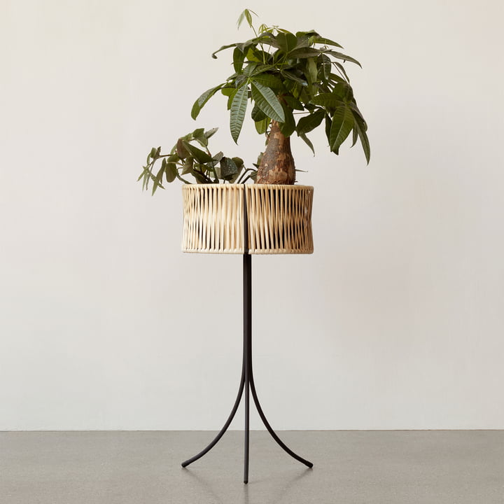 Umanoff plantepotte Ø 36,5 x H 69 cm, rattan / sort ( (RAL 9005) fra Audo kombinerer stållinjer med rattan