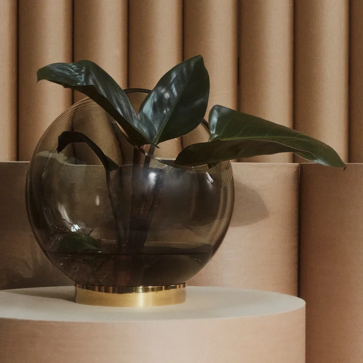 Globe Vase fra AYTM fyldt med storbladede planter